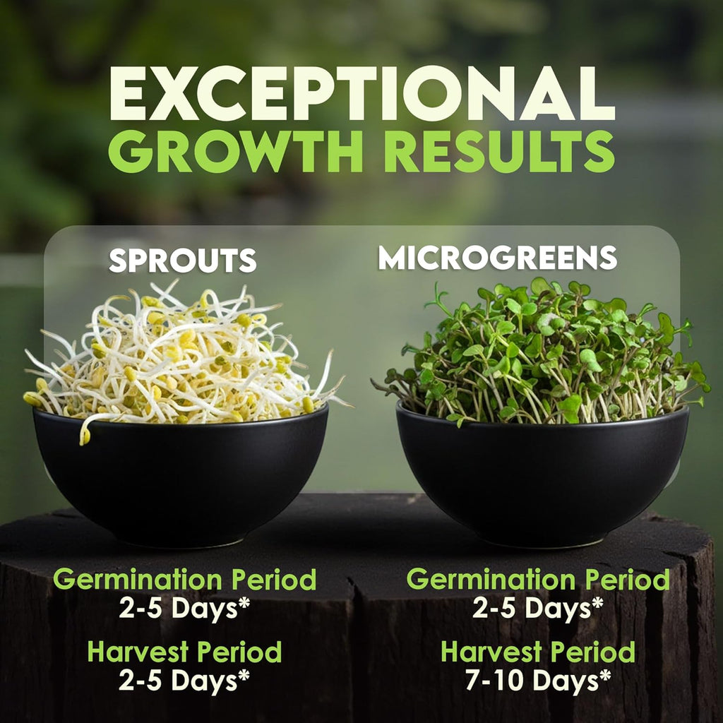 Nature JimÛªs Sprouts Organic Salad Mix ÛÒ Non-GMO Microgreen Seeds, Perfect for Growing Nutritious Organic Broccoli, Alfalfa, Radish & Clover Sprouts ÛÒ Easy Indoor/Outdoor Home Sprouting Seeds ÛÒ 1lb
