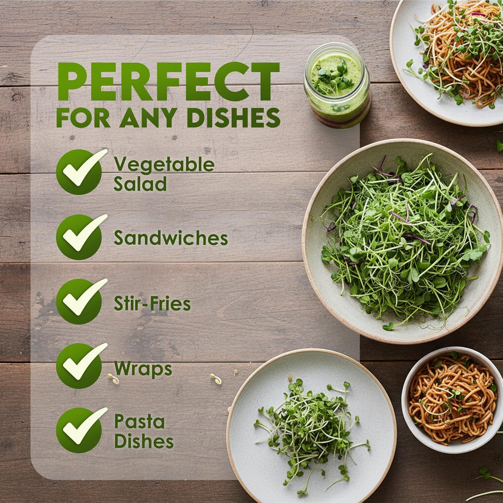 Nature JimÛªs Sprouts Organic Salad Mix ÛÒ Non-GMO Microgreen Seeds, Perfect for Growing Nutritious Organic Broccoli, Alfalfa, Radish & Clover Sprouts ÛÒ Easy Indoor/Outdoor Home Sprouting Seeds ÛÒ 1lb