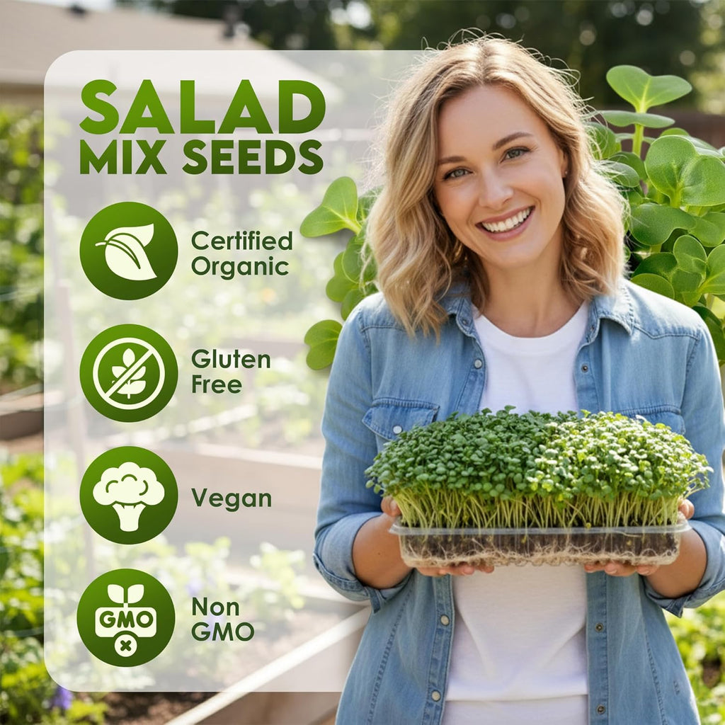 Nature JimÛªs Sprouts Organic Salad Mix ÛÒ Non-GMO Microgreen Seeds, Perfect for Growing Nutritious Organic Broccoli, Alfalfa, Radish & Clover Sprouts ÛÒ Easy Indoor/Outdoor Home Sprouting Seeds ÛÒ 1lb
