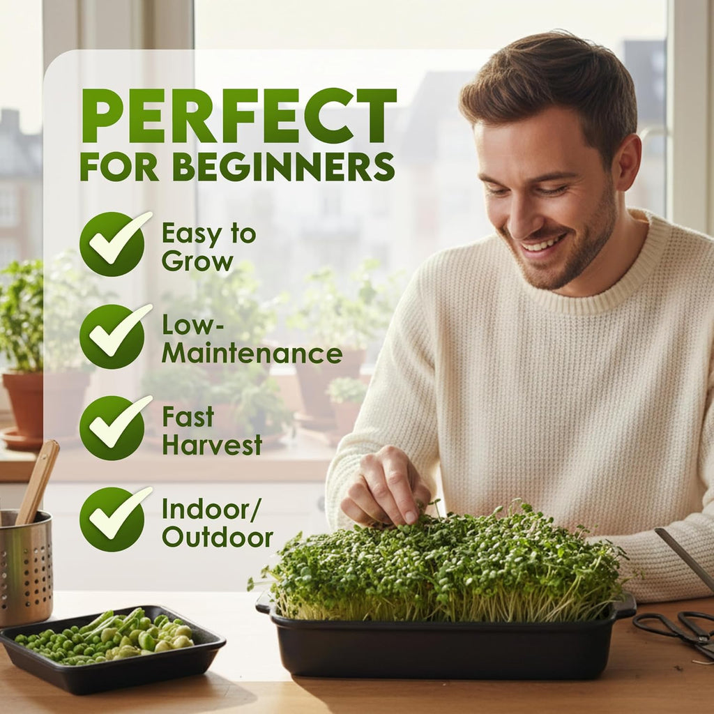 Nature JimÛªs Sprouts Organic Salad Mix ÛÒ Non-GMO Microgreen Seeds, Perfect for Growing Nutritious Organic Broccoli, Alfalfa, Radish & Clover Sprouts ÛÒ Easy Indoor/Outdoor Home Sprouting Seeds ÛÒ 1lb