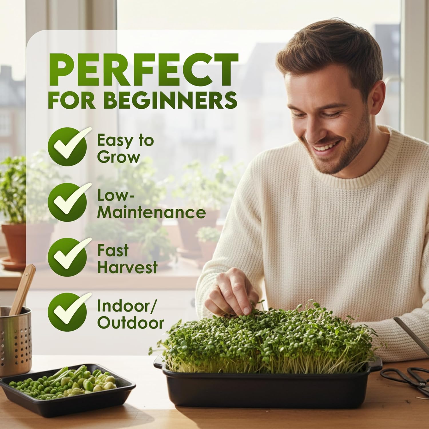 Nature JimÛªs Sprouts Organic Salad Mix ÛÒ Non-GMO Microgreen Seeds, Perfect for Growing Nutritious Organic Broccoli, Alfalfa, Radish & Clover Sprouts ÛÒ Easy Indoor/Outdoor Home Sprouting Seeds ÛÒ 1lb