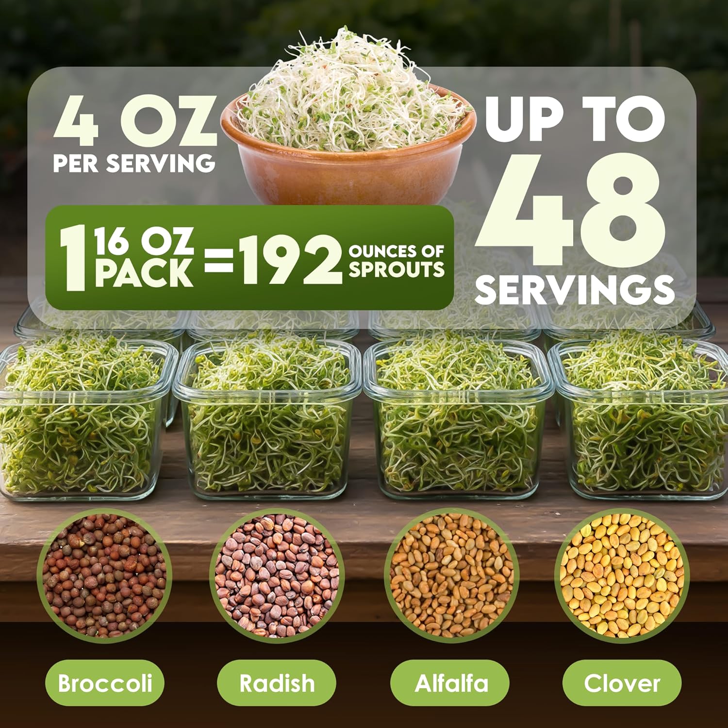 Nature JimÛªs Sprouts Organic Salad Mix ÛÒ Non-GMO Microgreen Seeds, Perfect for Growing Nutritious Organic Broccoli, Alfalfa, Radish & Clover Sprouts ÛÒ Easy Indoor/Outdoor Home Sprouting Seeds ÛÒ 1lb