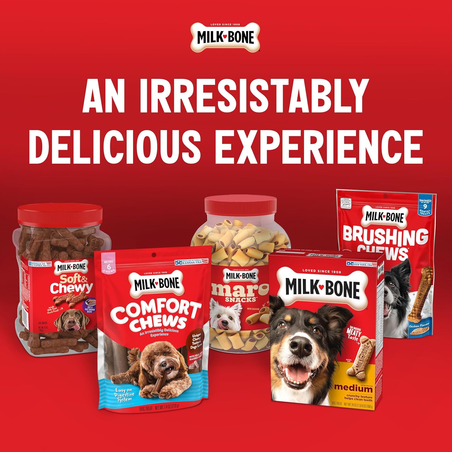 Milk-Bone Flavor Snacks MiniÛªs Dog Biscuits, Flavored Crunchy Dog Treats, 36 Oz. Canister