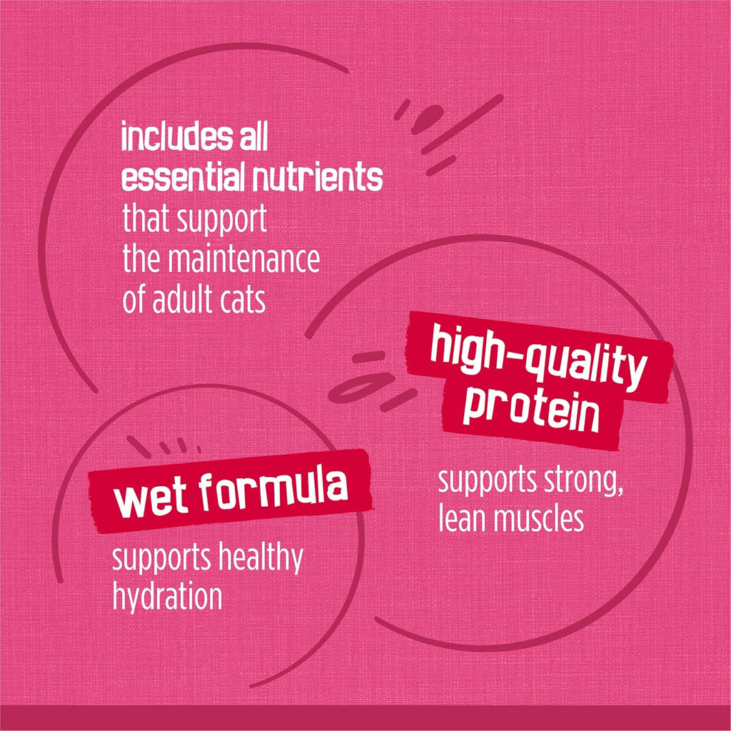 Purina Friskies Gravy Wet Cat Food Variety Pack, SurfinÛª and TurfinÛª Prime Filets Favorites - (Pack of 40) 5.5 oz. Cans