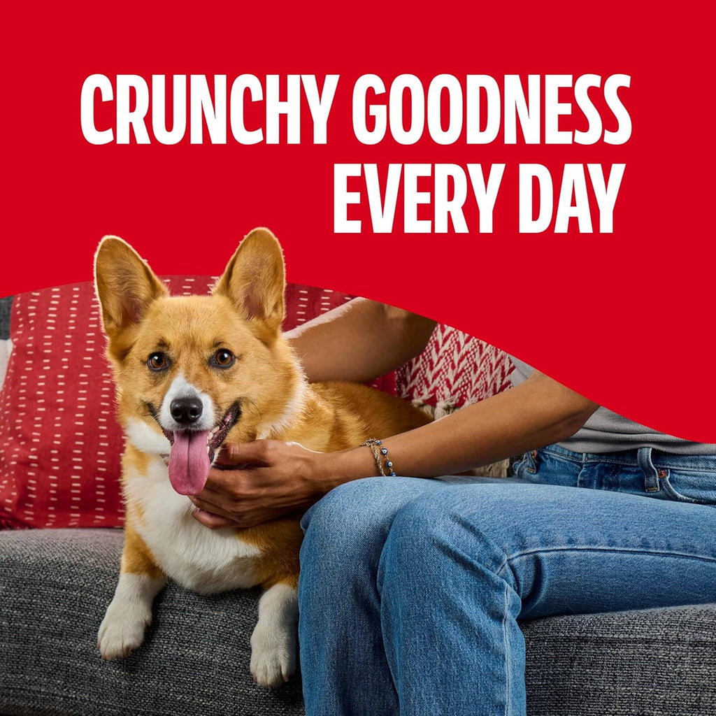 Milk-Bone Flavor Snacks MiniÛªs Dog Biscuits, Flavored Crunchy Dog Treats, 36 Oz. Canister