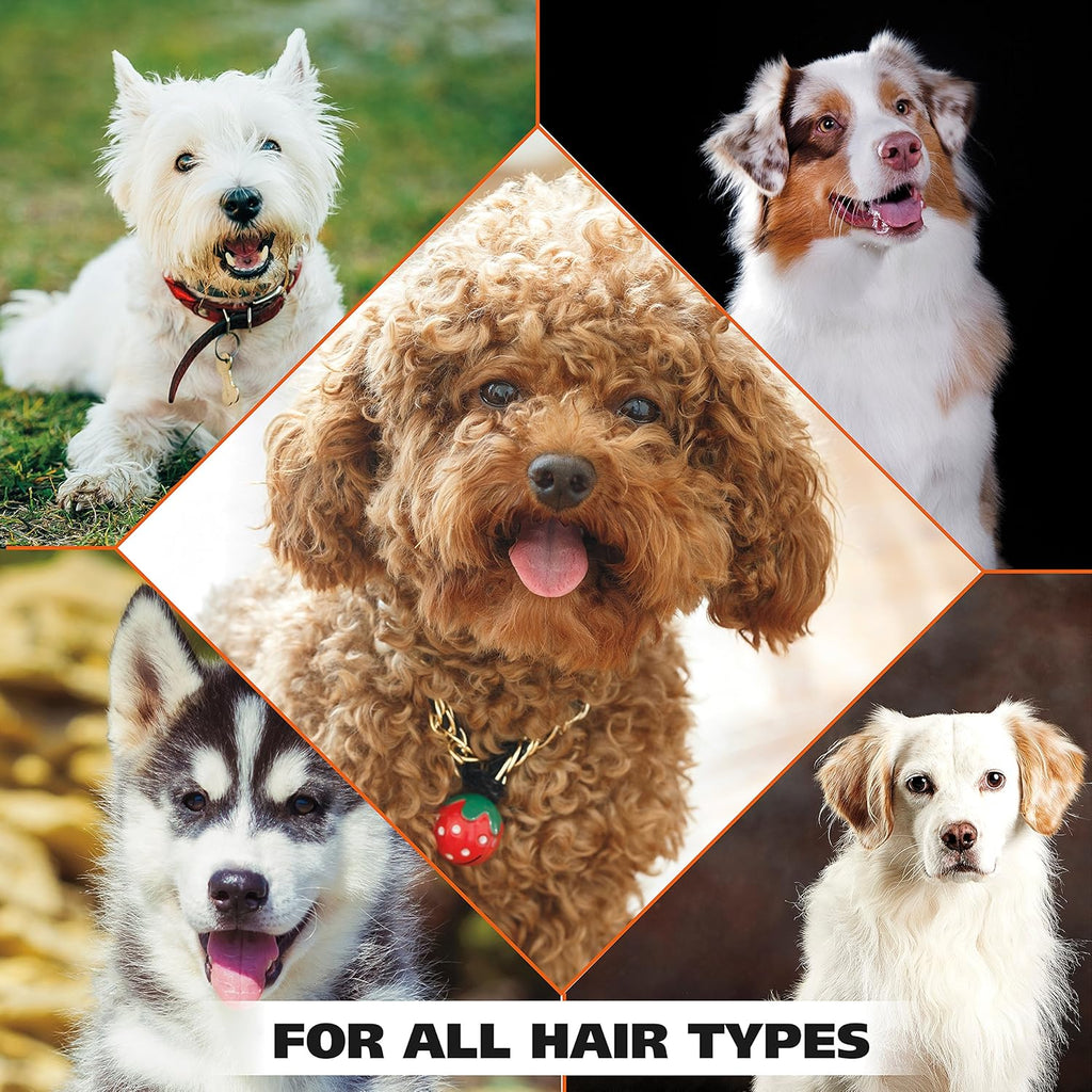 Wahl USA Dry Skin & Itch Relief Pet Shampoo for Dogs ÛÒ Oatmeal Formula with Coconut Lime Verbena Scent & Pet Friendly Formula, 24 Oz - Model 820004A